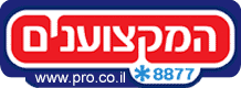 המקצוענים - בעלי מקצוע